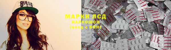 сатива Балахна