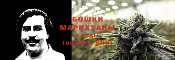 сатива Балахна