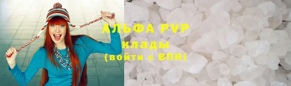 сатива Балахна