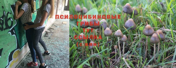 сатива Балахна