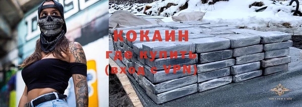 сатива Балахна