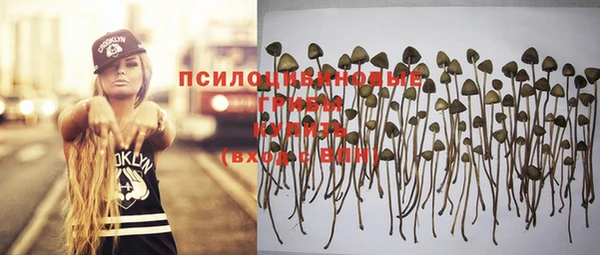 бутират Баксан
