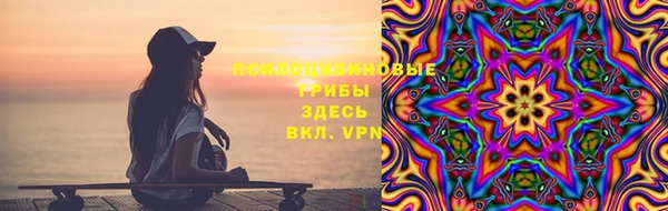 сатива Балахна